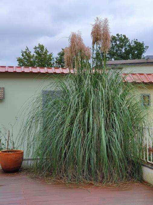 artHOTEL BRE Buitenkant foto